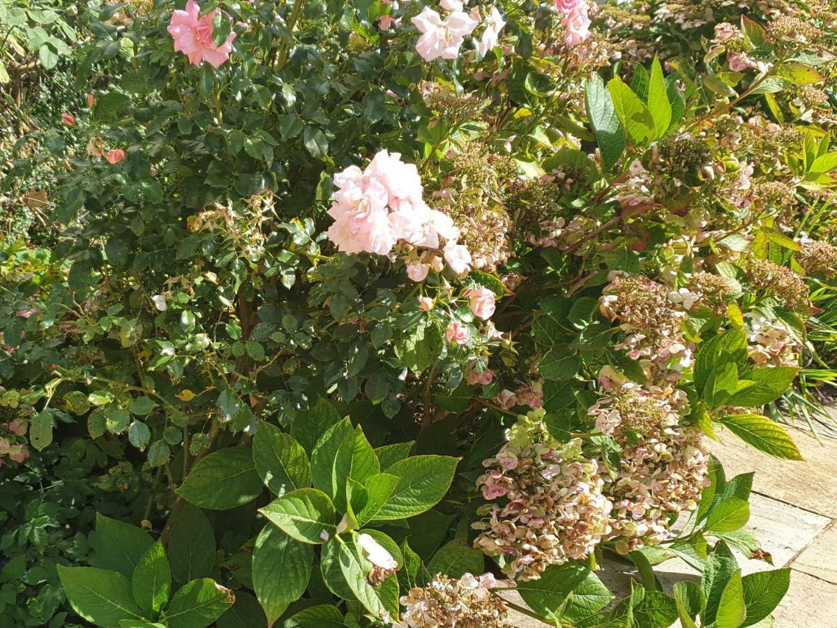 The Nest At Bramble Cottage 라콕 외부 사진
